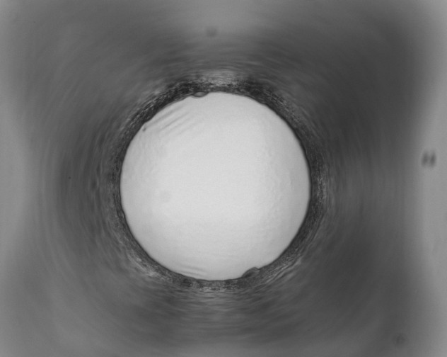 X0000111921393200908171314