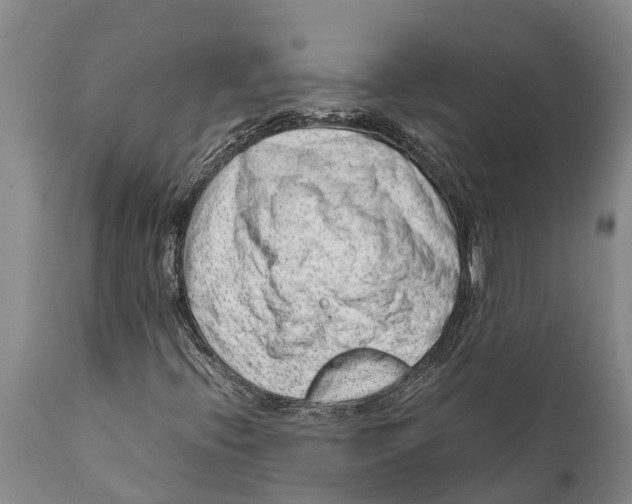 X0000111921396200908171314