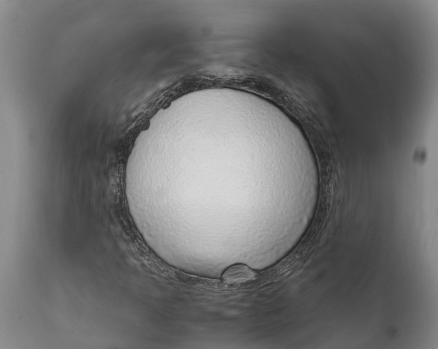 X0000111921397200908171314