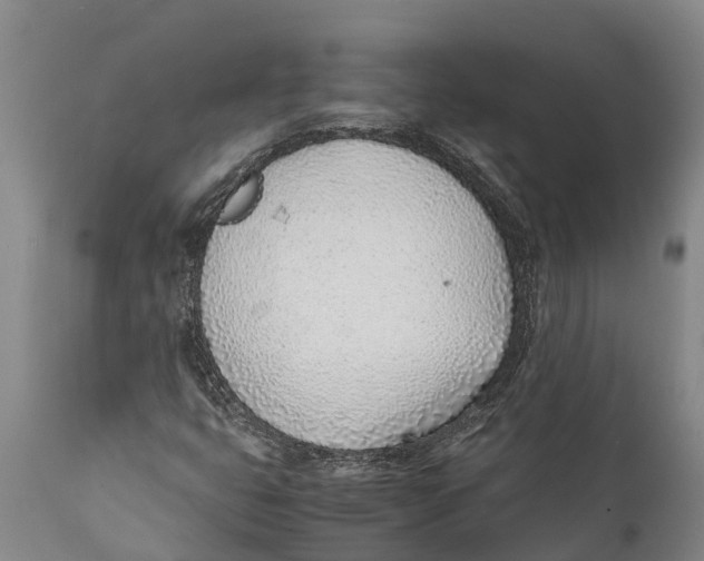 X0000111921399200908171314