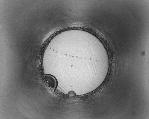 X0000111921400200908171314