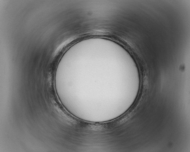 X0000111921402200908171314