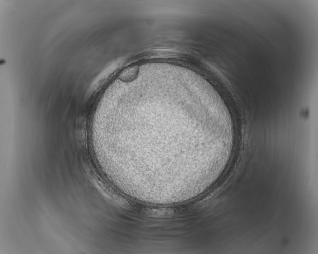 X0000111921403200908171314