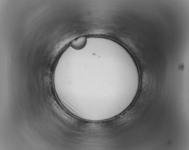 X0000111921404200908171314