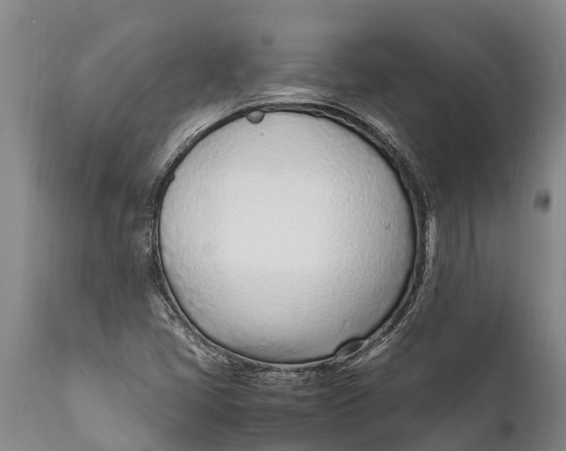 X0000111921405200908171314