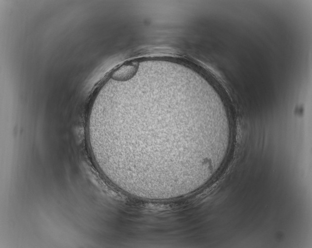 X0000111921407200908171314