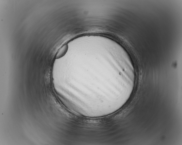 X0000111921409200908171314