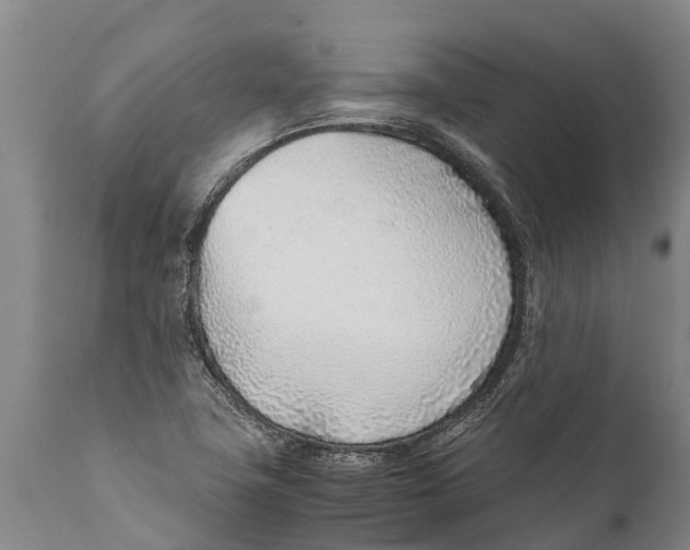 X0000111921411200908171314