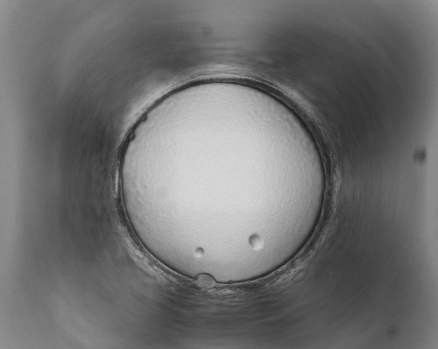 X0000111921413200908171314