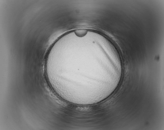 X0000111921415200908171314