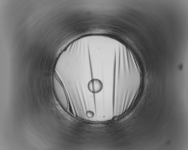 X0000111921417200908171314