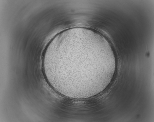 X0000111921419200908171314