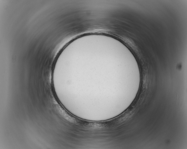 X0000111921420200908171314