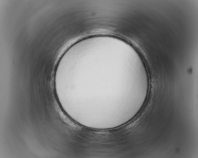 X0000111921421200908171314