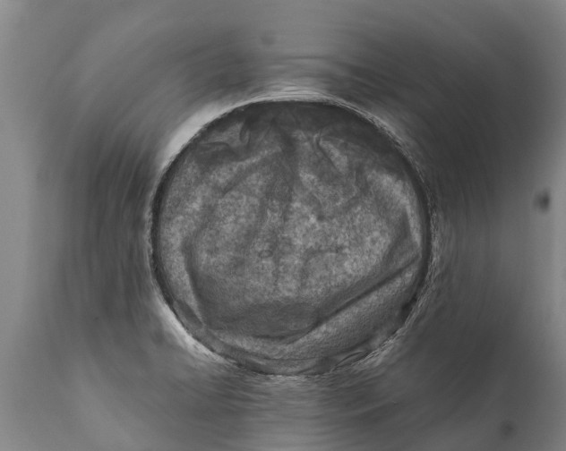 X0000111921422200908171314