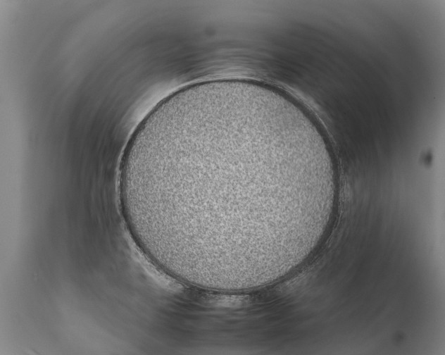 X0000111921423200908171314