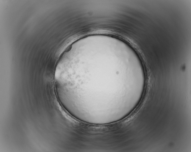 X0000111921425200908171314