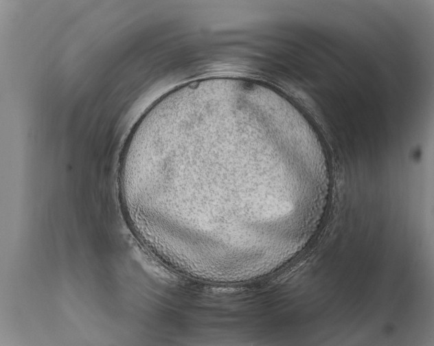 X0000111921427200908171314