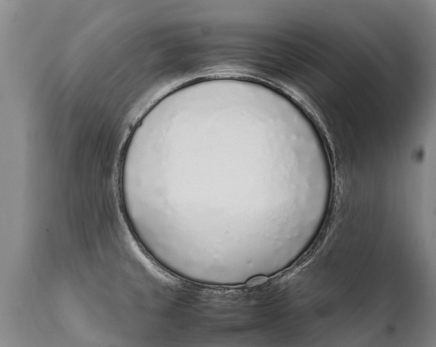 X0000111921429200908171314