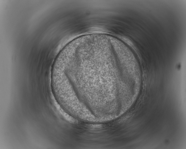 X0000111921431200908171314