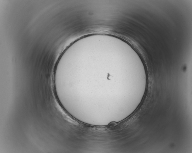 X0000111921432200908171314