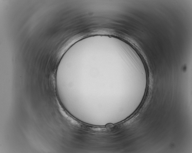 X0000111921433200908171314