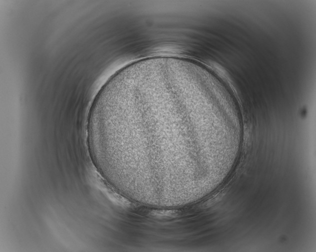 X0000111921435200908171314