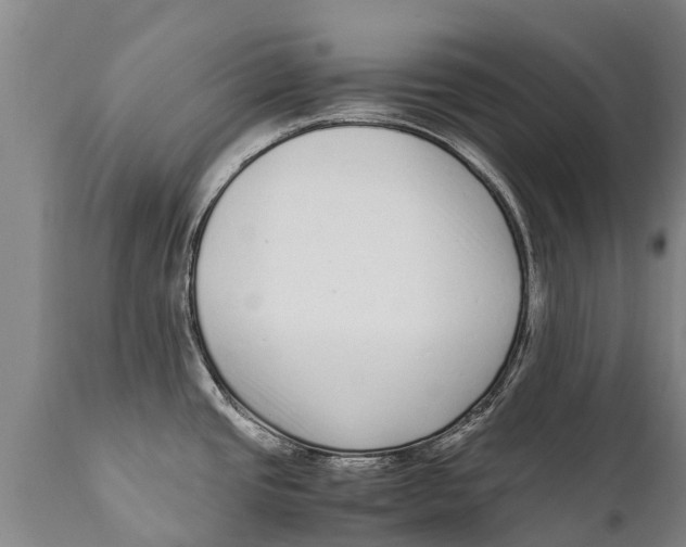 X0000111921437200908171314