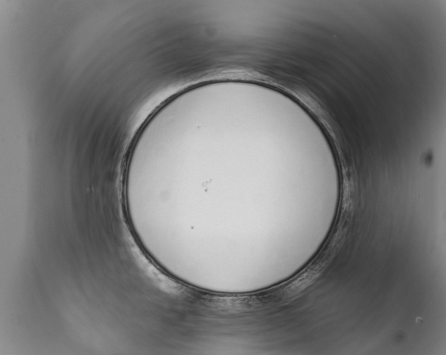 X0000111921438200908171314