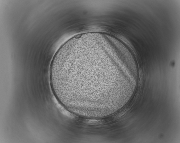 X0000111921439200908171314