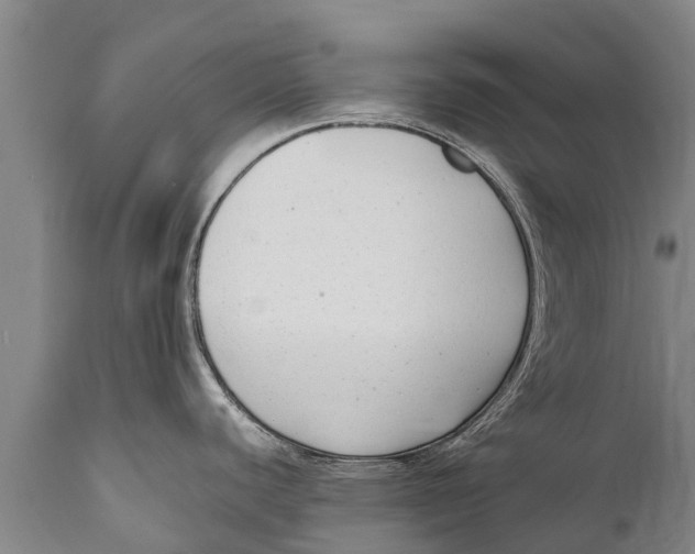 X0000111921440200908171314