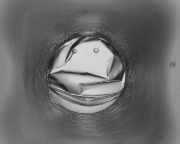 X0000111921441200908171314