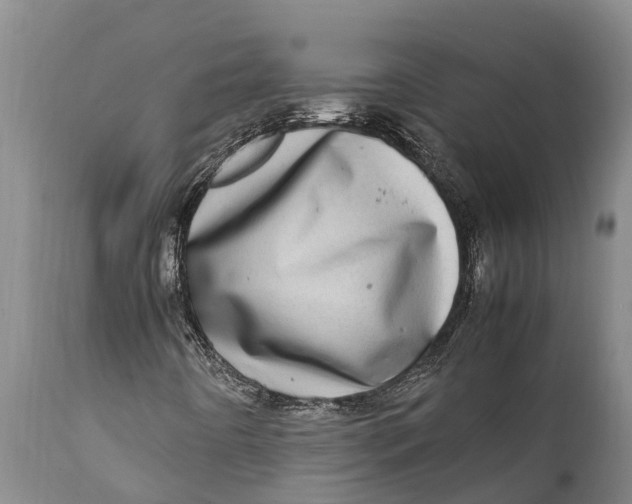 X0000111921442200908171314