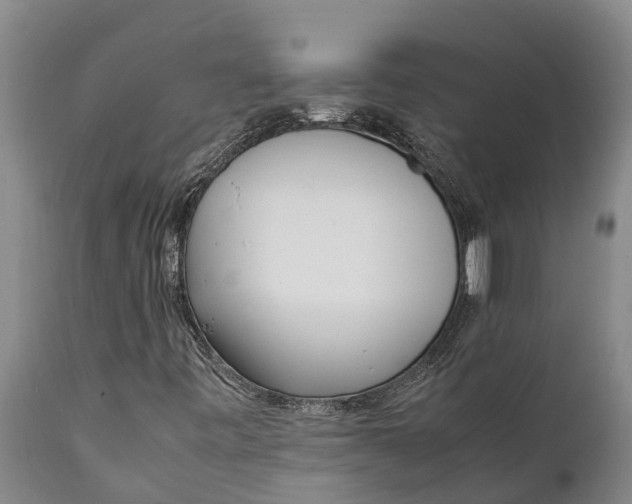 X0000111921443200908171314