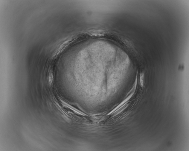 X0000111921444200908171314