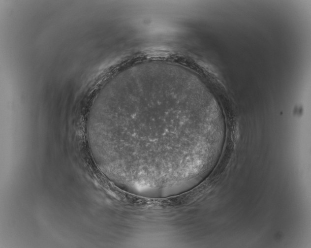 X0000111921445200908171314