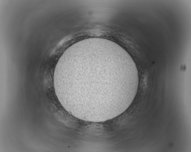 X0000111921446200908171314