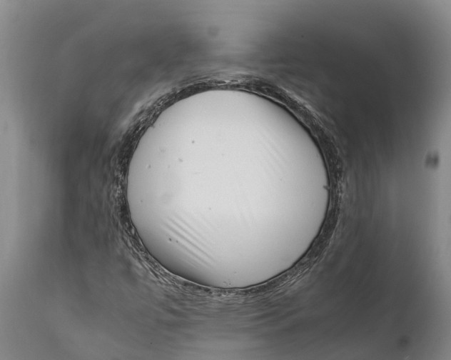 X0000111921447200908171314