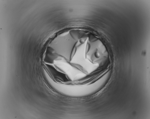 X0000111921449200908171314