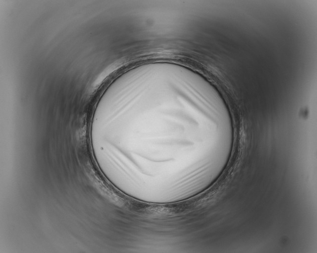 X0000111921450200908171313