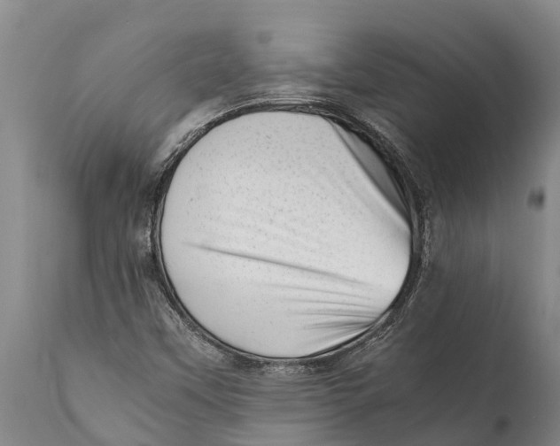 X0000111921451200908171313