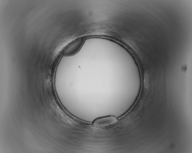 X0000111921452200908171313