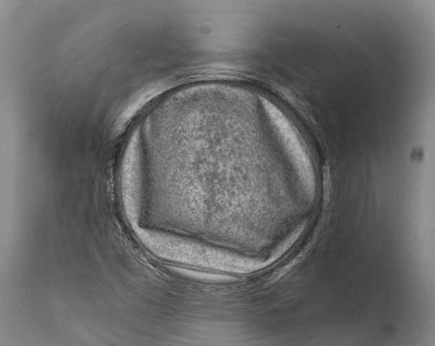 X0000111921453200908171313