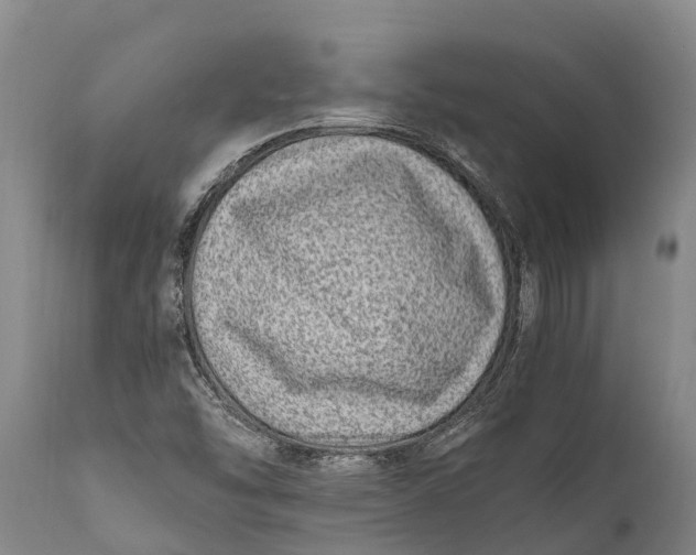 X0000111921454200908171313