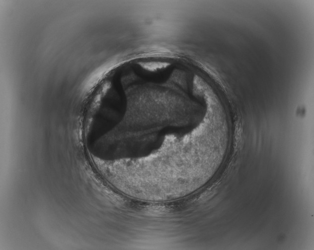 X0000111921455200908171313