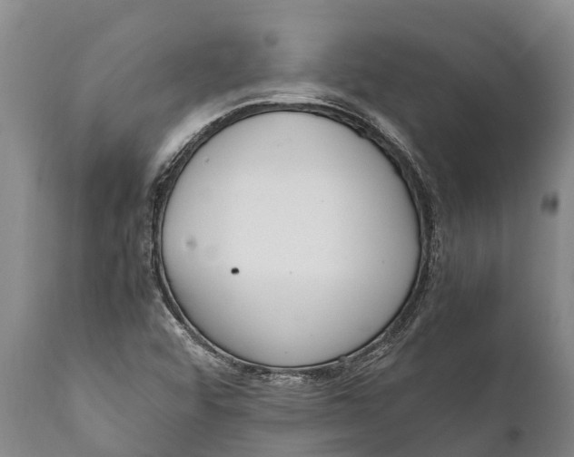 X0000111921456200908171313