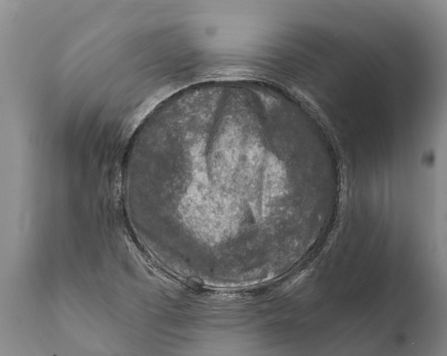 X0000111921457200908171313