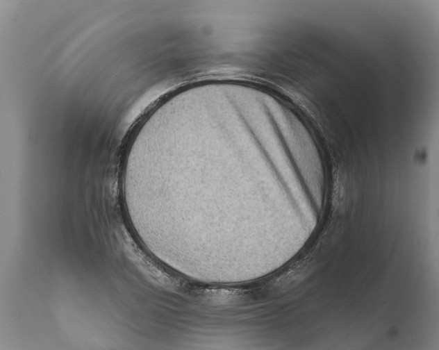 X0000111921458200908171313