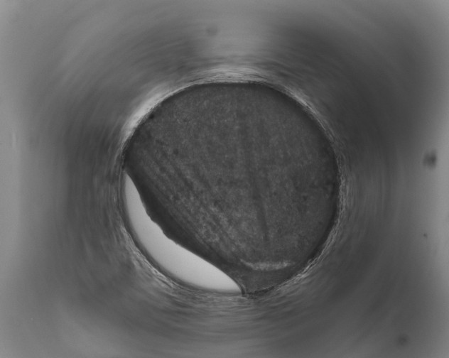 X0000111921459200908171313