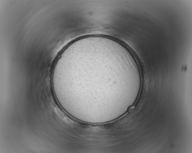 X0000111921460200908171313